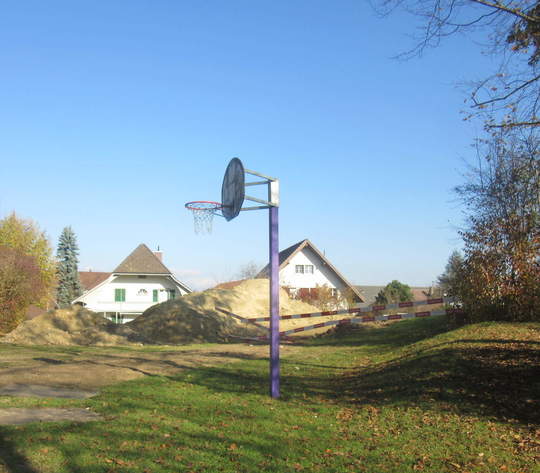 Zälgli Basketballkorb