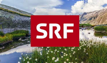 Logo SRF