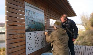 Vogelbeobachtung im Uferpark