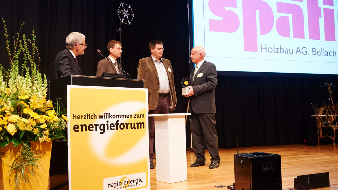 Regio Energie Preisgewinner 2015